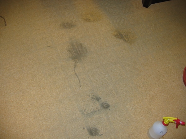 Carpet Stubborn Dirt Deep Cleaning