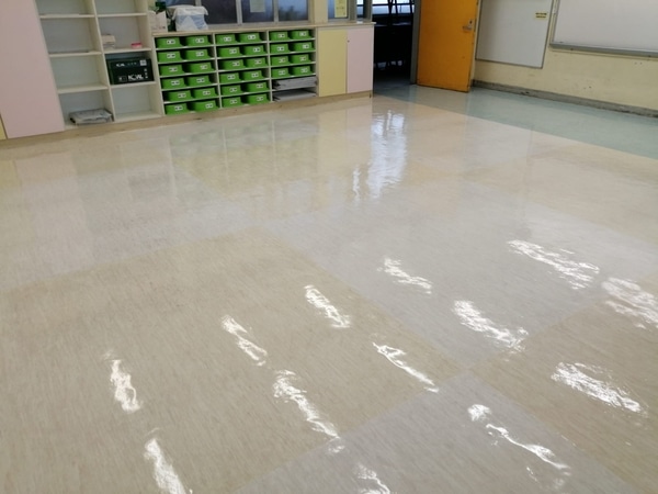 Vinyl Floor Cleaning